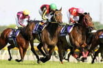 20100516-00000006-kiba-horse-view-000.jpg