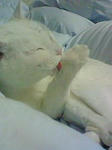 20090324001.jpg