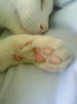 20090324002.jpg