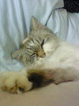20090324003.jpg