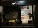 6137534d.JPG