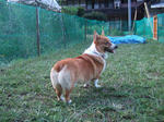 09063.jpg