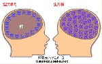 50621fd7.gif