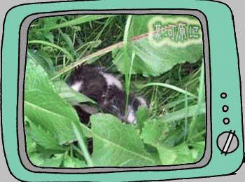 4b9c3aeb.gif