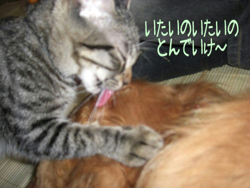 6d9d010f.jpg