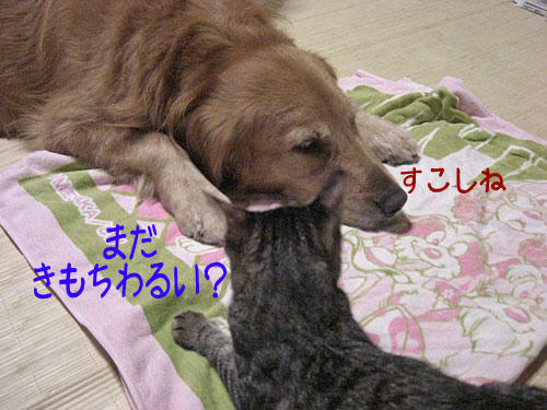 4d0a6825.jpg