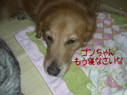82c49dd0.jpg