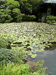 DVC00172.JPG