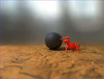 dof