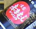 img20040211090804.jpg