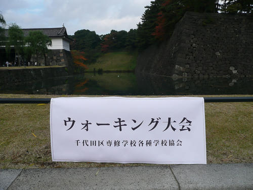 p1000854.jpg