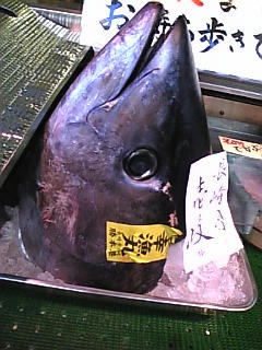 20080222_430338.jpg