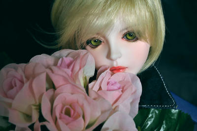 DSC_0805shallb.jpg