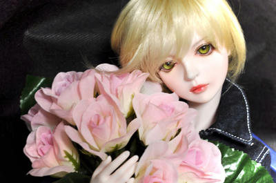 DSC_0833shall.jpg