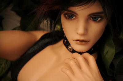 DSC_0874tamer.jpg