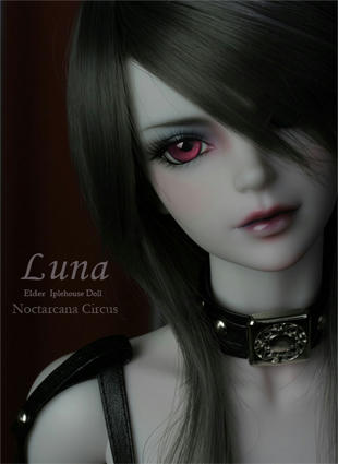 luna.jpg
