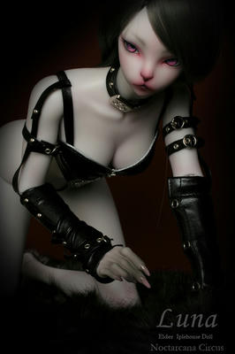 iplehouse-luna.jpg