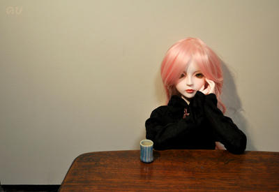 DSC_0549shall.jpg