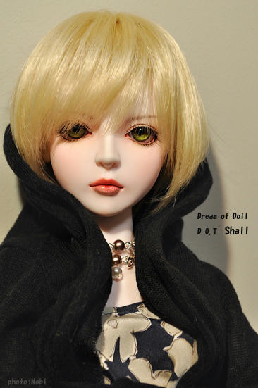 profDSC_0582shall2.jpg