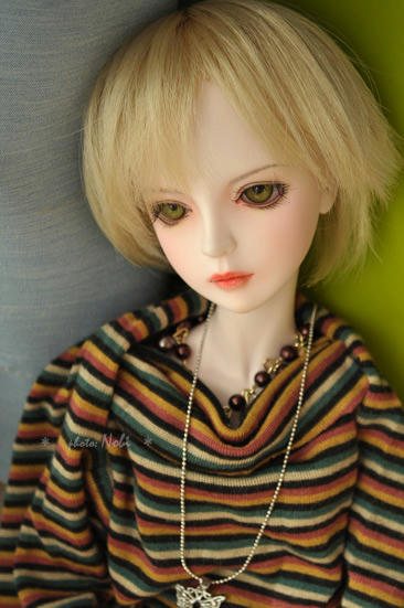 DSC_0810shall.jpg