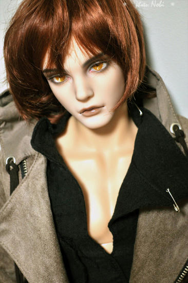 DSC_1256tamer.jpg