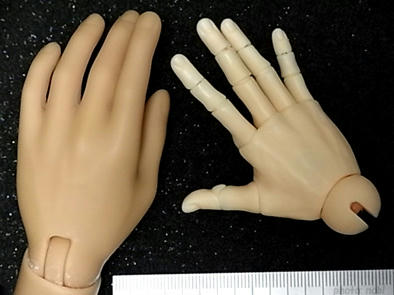 RIMG0882EID-Mecha-hand.jpg