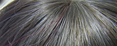2010012508RIMG1274.jpg
