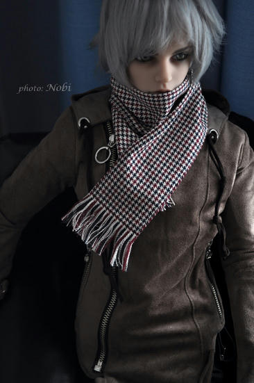 20100228DSC_2942.jpg