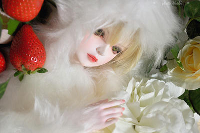 201002303DSC_2923.jpg