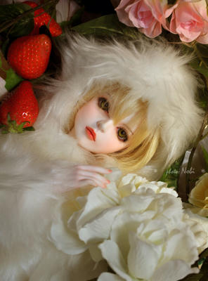 201002303DSC_2955.jpg
