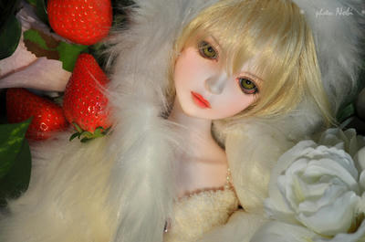 201002303DSC_2983.jpg