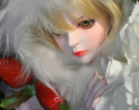 201002303DSC_2965.jpg