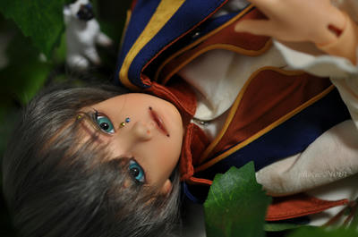 20100506DSC_0849.jpg