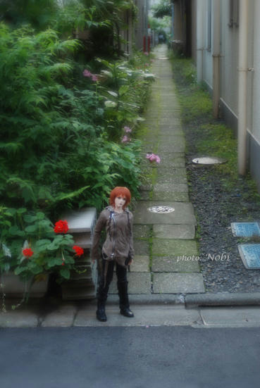 20100709DSC_0343.jpg
