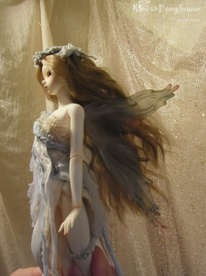 20100917RIMG0064.jpg