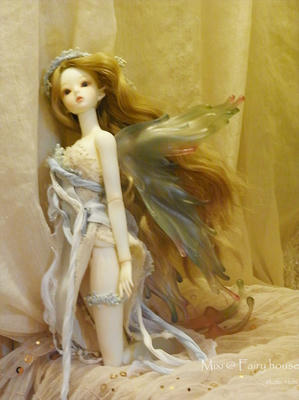 20100917RIMG0068.jpg