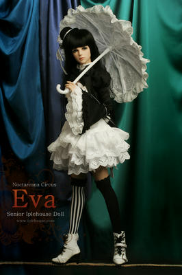 eva_dt07.jpg