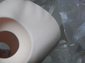 20101108RIMG0637.jpg