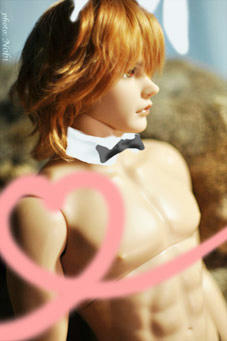 20110106bunny.jpg