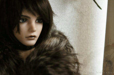 20110112DSC_0441.jpg