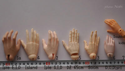 20110207DSC_0379.jpg