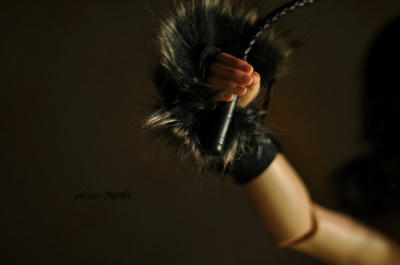 20110219DSC_0893.jpg