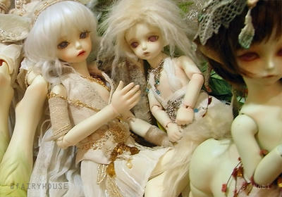 20110525RIMG2308.jpg