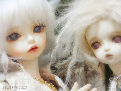 20110525RIMG2313.jpg
