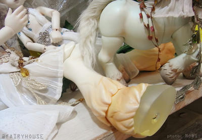 20110525RIMG2314.jpg