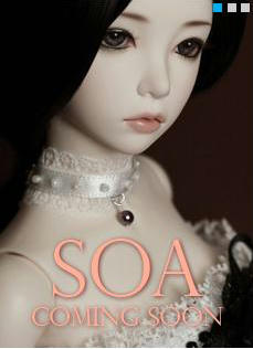 20110531soa.JPG
