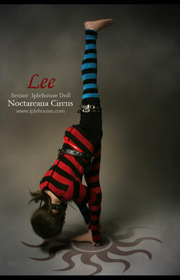 acrobatic_lee_dt5.jpg