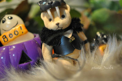 2011103003DSC_3725.jpg