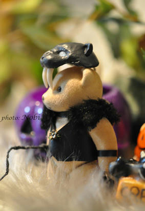 2011103005DSC_3727.jpg