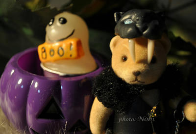2011103006DSC_3759.jpg